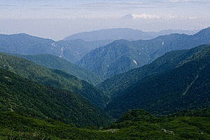 櫛形山の画像