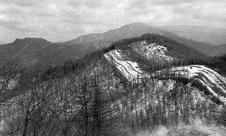 倉掛山の画像