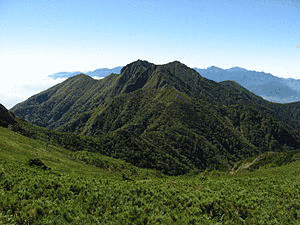 権現岳の画像
