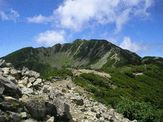 仙丈ヶ岳の画像