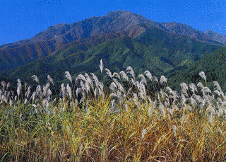 滝子山の画像