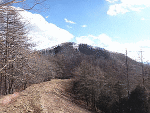 七ツ石山の画像