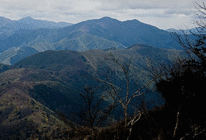 三頭山の画像