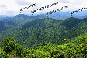 モロクボ沢ノ頭の画像