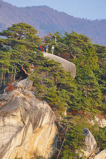 弥三郎岳の画像