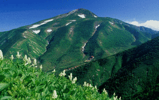 ぎふ百山の画像