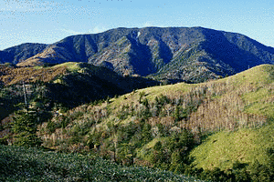 恵那山の画像