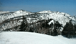猿ヶ馬場山の画像