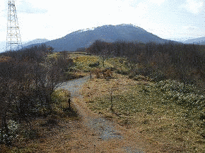 金ヶ谷山の画像