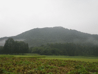 飯岡山の画像
