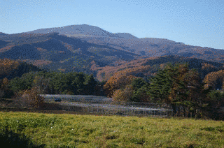 稲庭岳の画像