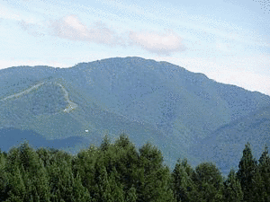 皮投岳の画像