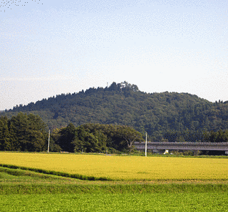 胡四王山の画像