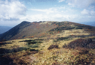 五葉山の画像
