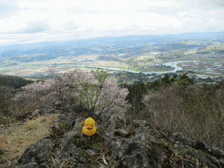束稲山の画像