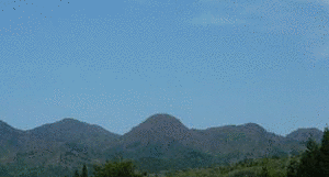 毒ヶ森の画像