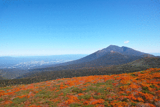 三ツ石山の画像