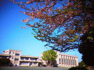 上の台の画像