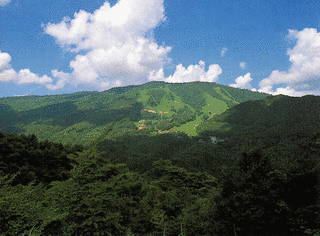 恐羅漢山の画像
