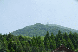 大麻山の画像