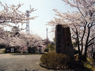神ノ倉山の画像