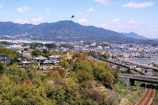 極楽寺山の画像