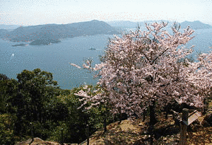 弥山の画像