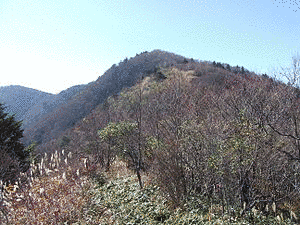石堂山の画像