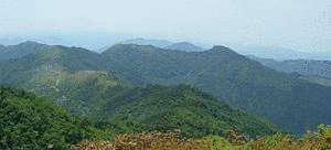 烏帽子山の画像