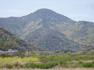大麻山の画像
