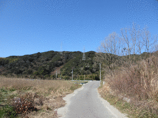 大毛山の画像