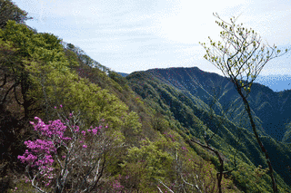 権田山の画像