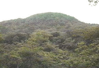高丸山の画像