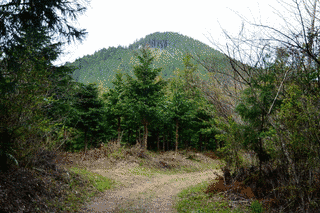 高森山の画像