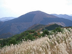 中津山の画像