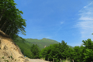 平家平の画像