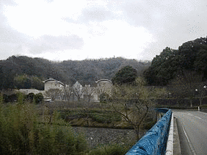 向寺山の画像