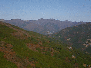 矢筈山の画像