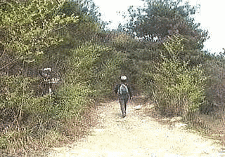 若狭峰の画像