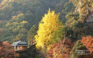 行道山の画像