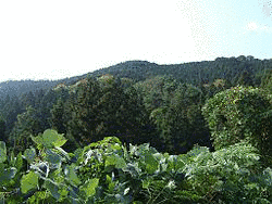 御在所山の画像