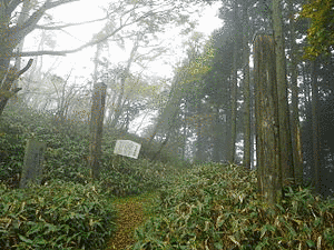 笹ヶ峰峠の画像