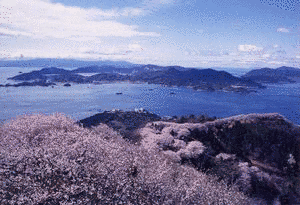 積善山の画像