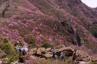 西赤石山の画像