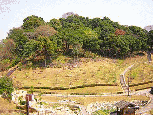 赤塚山の画像