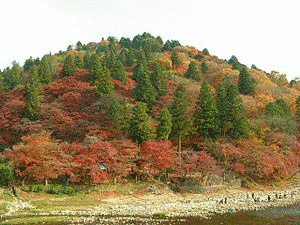 飯盛山の画像