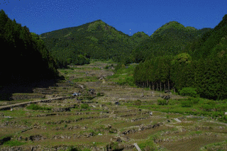 鞍掛山の画像