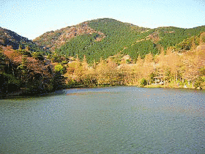 滝頭山の画像