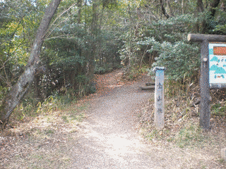白山の画像