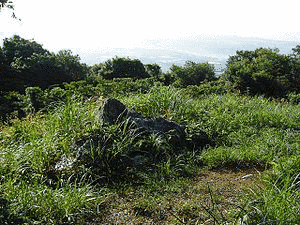 藤尾山の画像